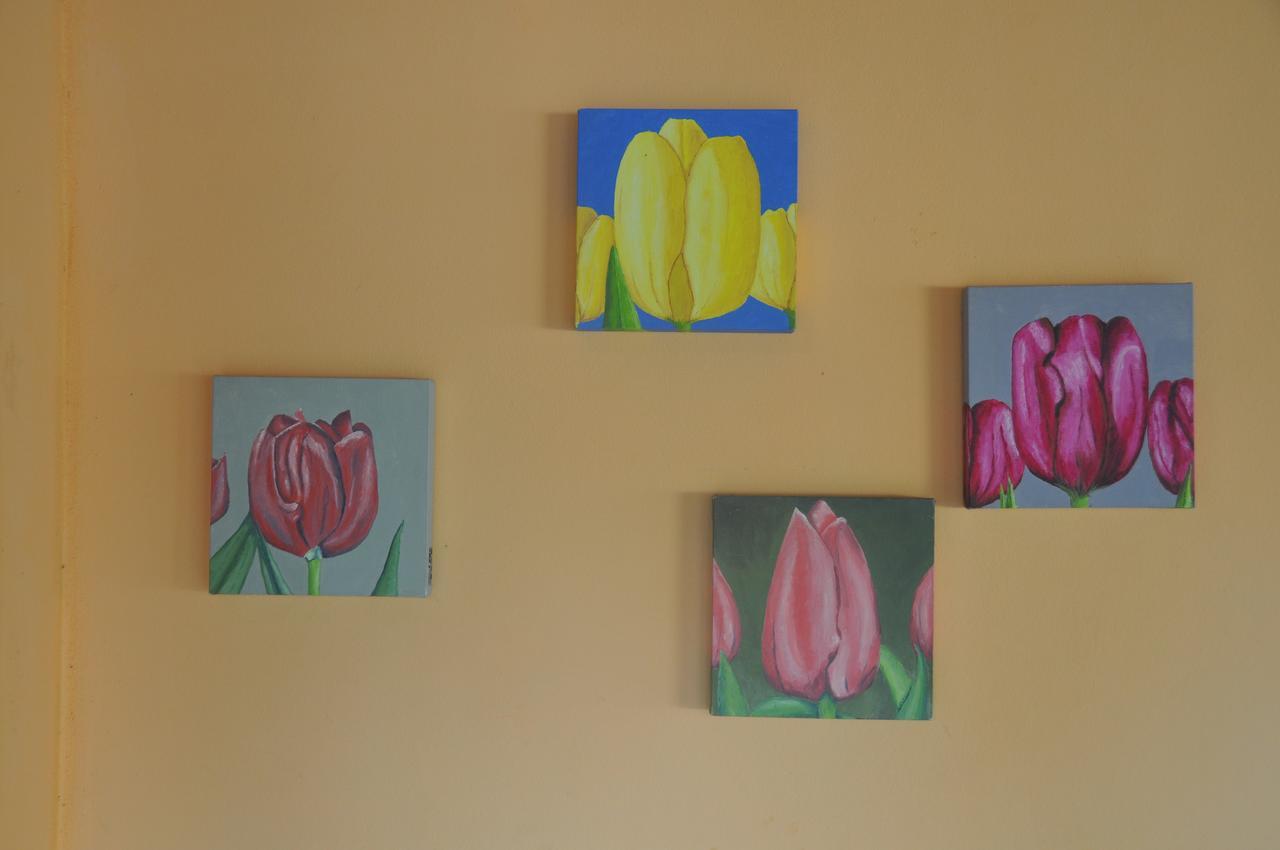 Recanto Das Tulipas Parati Exterior foto